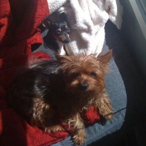 Meet your Posher, Sheena